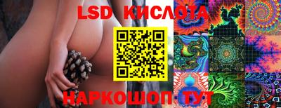 амф Кандалакша