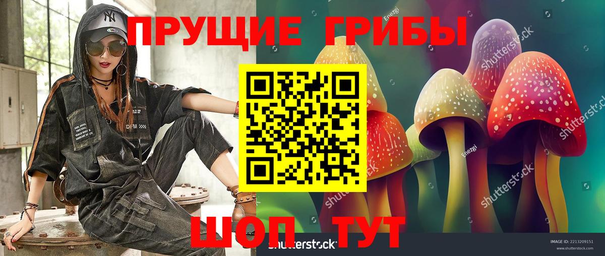 Псилоцибиновые грибы прущие грибы Кохма