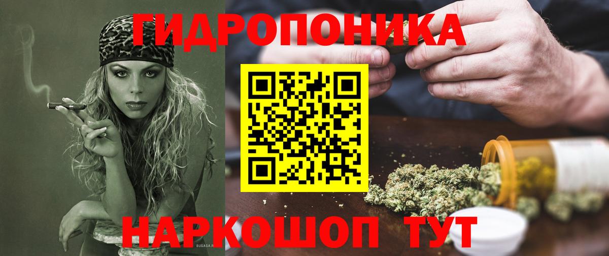 Шишки марихуана план Кохма